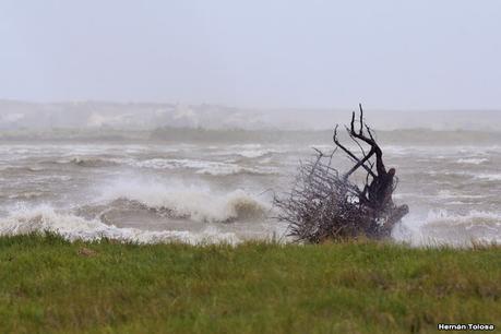 Villa 7 de marzo (diciembre 2020)