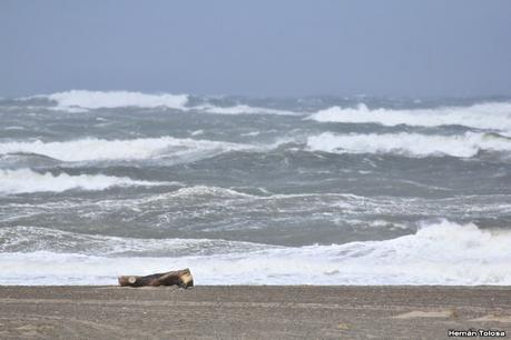 Villa 7 de marzo (diciembre 2020)