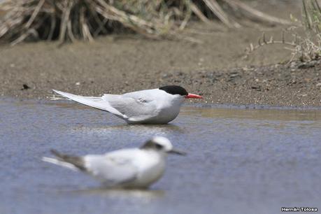 Villa 7 de marzo (diciembre 2020)