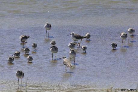 Villa 7 de marzo (diciembre 2020)