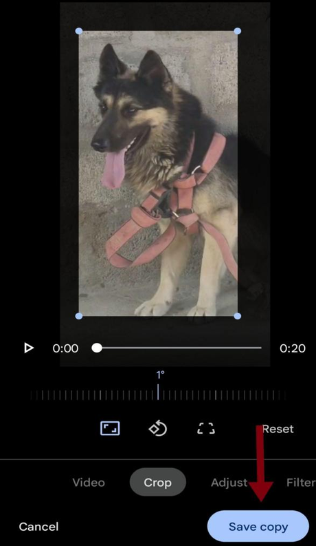 Cómo Recortar y Recortar Videos en iOS, Android y PC - Manera Fácil Cómo Recortar y Recortar Videos en iOS, Android y PC - Manera Fácil