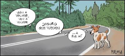Arde España: una semana negra de incendios en la que prevaleció el fuego, el humo y el calor. Arde España: una semana negra de incendios en la que prevaleció el fuego, el humo y el calor.