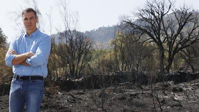 Arde España: una semana negra de incendios en la que prevaleció el fuego, el humo y el calor. Arde España: una semana negra de incendios en la que prevaleció el fuego, el humo y el calor.