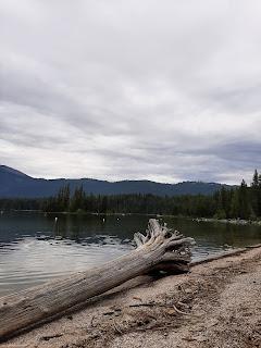 Washigton roadtrip: todo se llama Wenatche