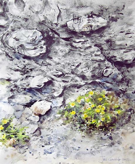 Paleta y acuarelas julio 2022