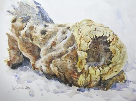 Paleta y acuarelas julio 2022 Paleta y acuarelas julio 2022