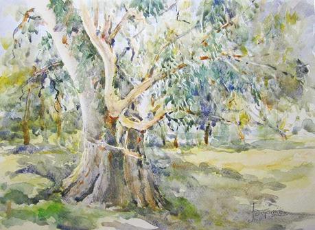 Paleta y acuarelas julio 2022 Paleta y acuarelas julio 2022