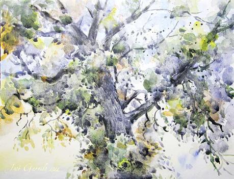 Paleta y acuarelas julio 2022 Paleta y acuarelas julio 2022