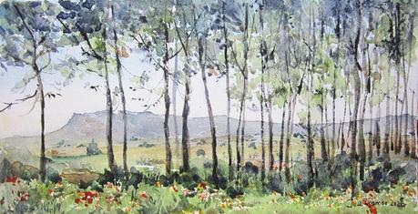 Paleta y acuarelas julio 2022 Paleta y acuarelas julio 2022