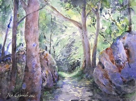 Paleta y acuarelas julio 2022 Paleta y acuarelas julio 2022