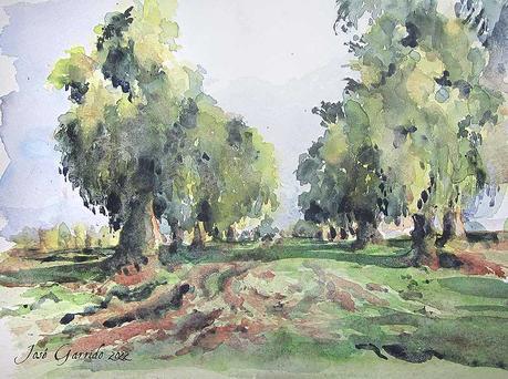 Paleta y acuarelas julio 2022 Paleta y acuarelas julio 2022