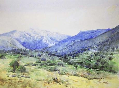 Paleta y acuarelas julio 2022 Paleta y acuarelas julio 2022