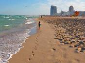 Miami para gozarla máximo