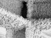 mejores sistemas protección pasiva contra fuego