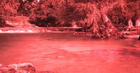 Localizan 4 cuerpos flotando en el río en la Huasteca Potosina