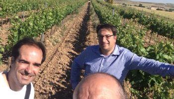 I Bienal Enológica de Burgos 2022 Parte II