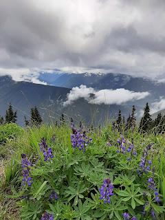 Washigton road trip: Lake Crescent, el lago mágico.