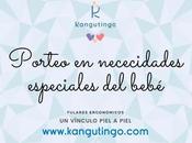 Porteo necesidades especiales