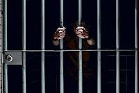 El visitante de Stephen King El visitante de Stephen King