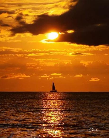 Los reyes –¿agotados? – también van de vacaciones –reales. Los reyes –¿agotados? – también van de vacaciones –reales.