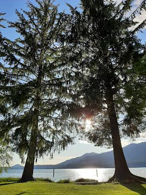 Washington road trip: de la playa con nombre de teatro a la sabiduría de los árboles Washington road trip: de la playa con nombre de teatro a la sabiduría de los árboles