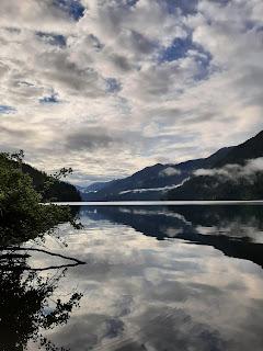 Washington road trip: de la playa con nombre de teatro a la sabiduría de los árboles Washington road trip: de la playa con nombre de teatro a la sabiduría de los árboles