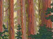 Washington road trip: playa nombre teatro sabiduría árboles