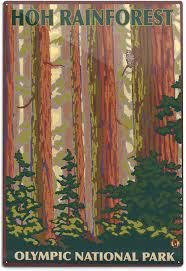 Washington road trip: de la playa con nombre de teatro a la sabiduría de los árboles