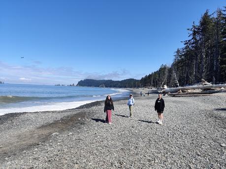 Washington road trip: de la playa con nombre de teatro a la sabiduría de los árboles Washington road trip: de la playa con nombre de teatro a la sabiduría de los árboles