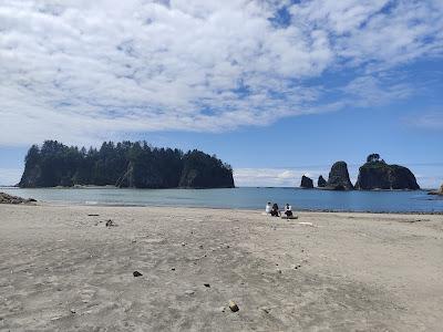 Washington road trip: de la playa con nombre de teatro a la sabiduría de los árboles Washington road trip: de la playa con nombre de teatro a la sabiduría de los árboles