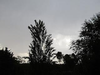 SOLEDAD BUSCADA; MI AMIGA