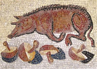 COMER Y MORIR. GULA, VENENO, EMPACHO Y OTRAS TRAGEDIAS EN LA MESA