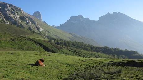 Torre de la Párdida desde Pandébano
