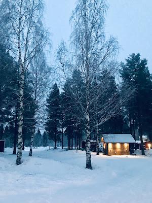 Tour por la Laponia Sueca Tour por la Laponia Sueca