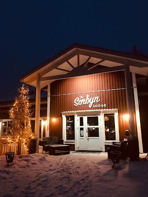 Tour por la Laponia Sueca Tour por la Laponia Sueca