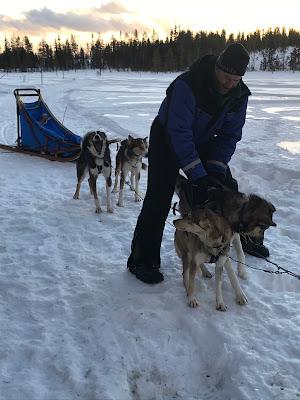 Tour por la Laponia Sueca Tour por la Laponia Sueca