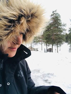 Tour por la Laponia Sueca Tour por la Laponia Sueca