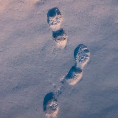 Tour por la Laponia Sueca Tour por la Laponia Sueca