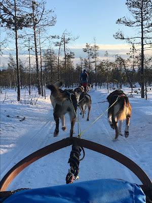 Tour por la Laponia Sueca Tour por la Laponia Sueca