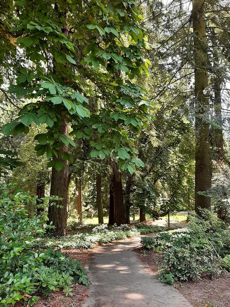 Washigton road trip: en Portland. De casas y libros