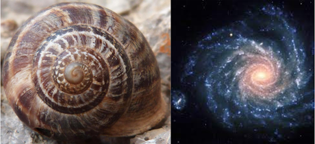 LA VIDA ES UN PROCESO QUE TRANSCURRE DE MENOS A MÁS