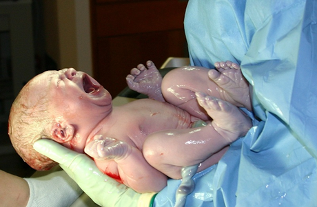 POR QUÉ Y PARA QUÉ VENIMOS AL MUNDO LLORANDO