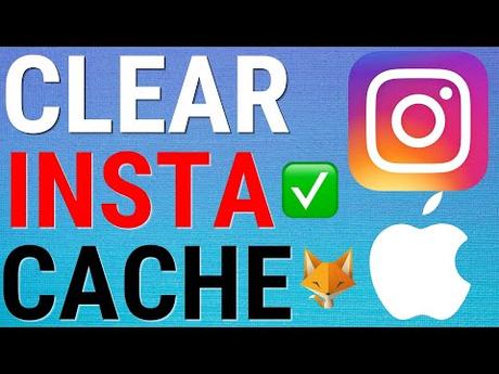 How To Clear Instagram Cache On iOS Cómo borrar el caché de Instagram de iPhone y Android