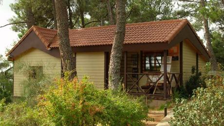 Más de 100 actividades de verano gratuitas para acercarse a la naturaleza madrileña Más de 100 actividades de verano gratuitas para acercarse a la naturaleza madrileña