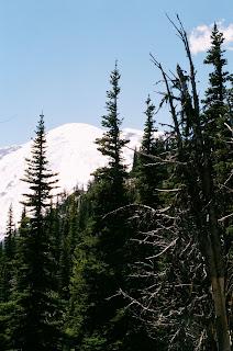 Washington road trip: en Mount Rainier pensando en los nunca mas y asando marshmallows