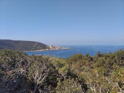 Campomoro-Cala Genovese