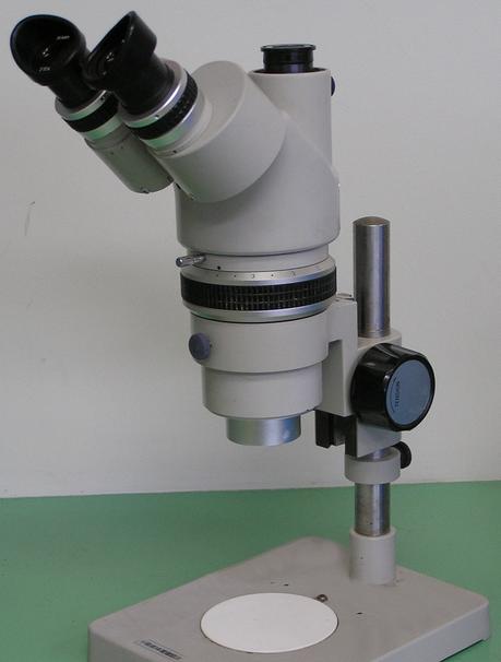 Los 18 tipos de microscopios ( y sus características)