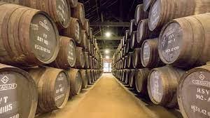 Las mejores visitas guiadas en Oporto, los lugares imperdibles de la ciudad