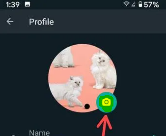 Cómo cambiar la foto de perfil de WhatsApp en Android Cómo cambiar la foto de perfil de WhatsApp en Android