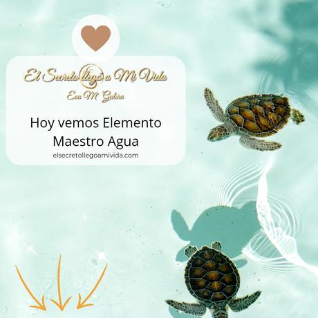 Elemento Maestro Agua